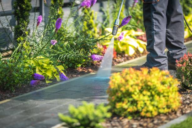 Professional  Pressure Washing Services in Temperance, MI