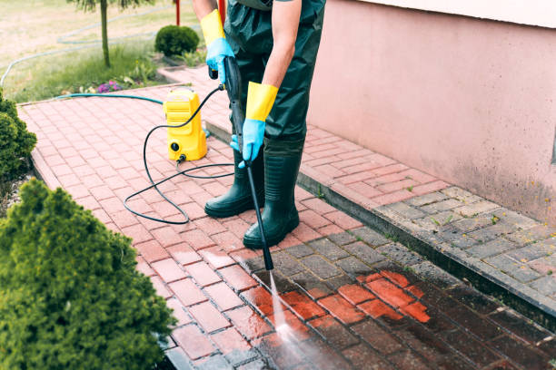 Best Dumpster Area Cleaning  in Temperance, MI