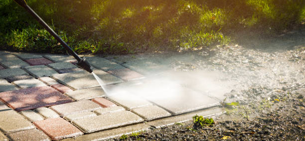Best Fence Cleaning  in Temperance, MI